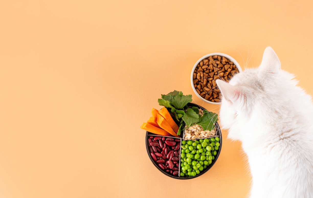 allergies alimentaires